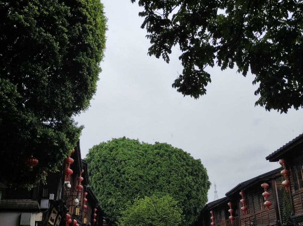 联想截图_20250717142325_副本.jpg